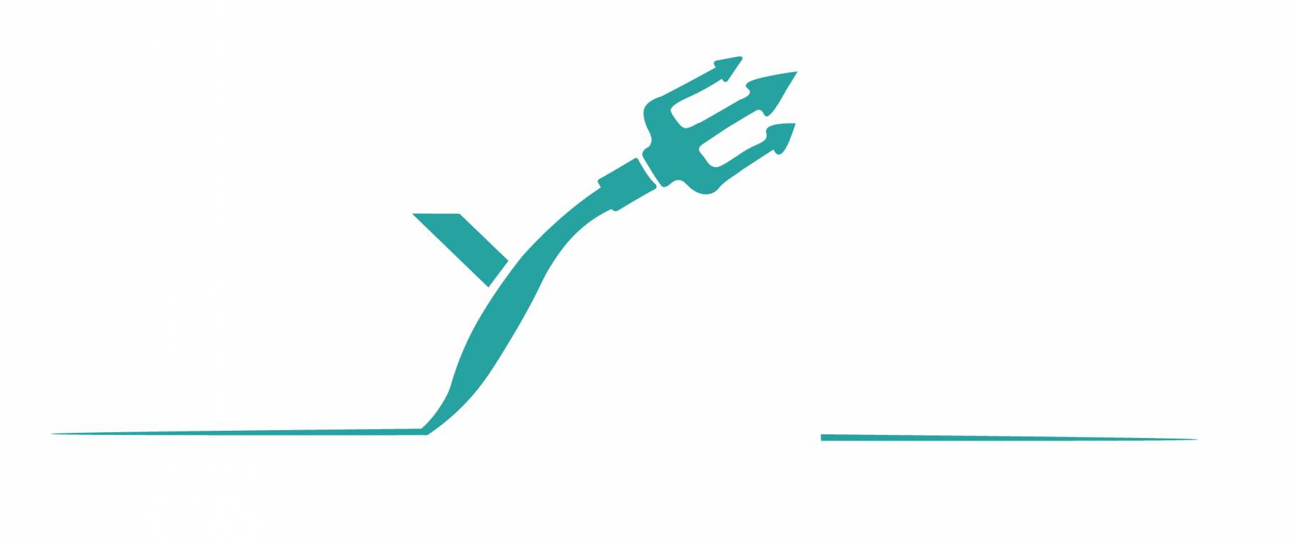 TRYDAN PRO